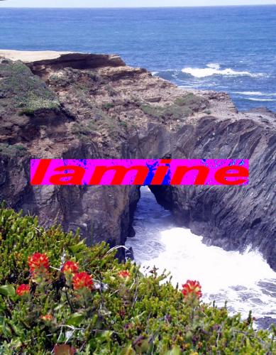 lamine